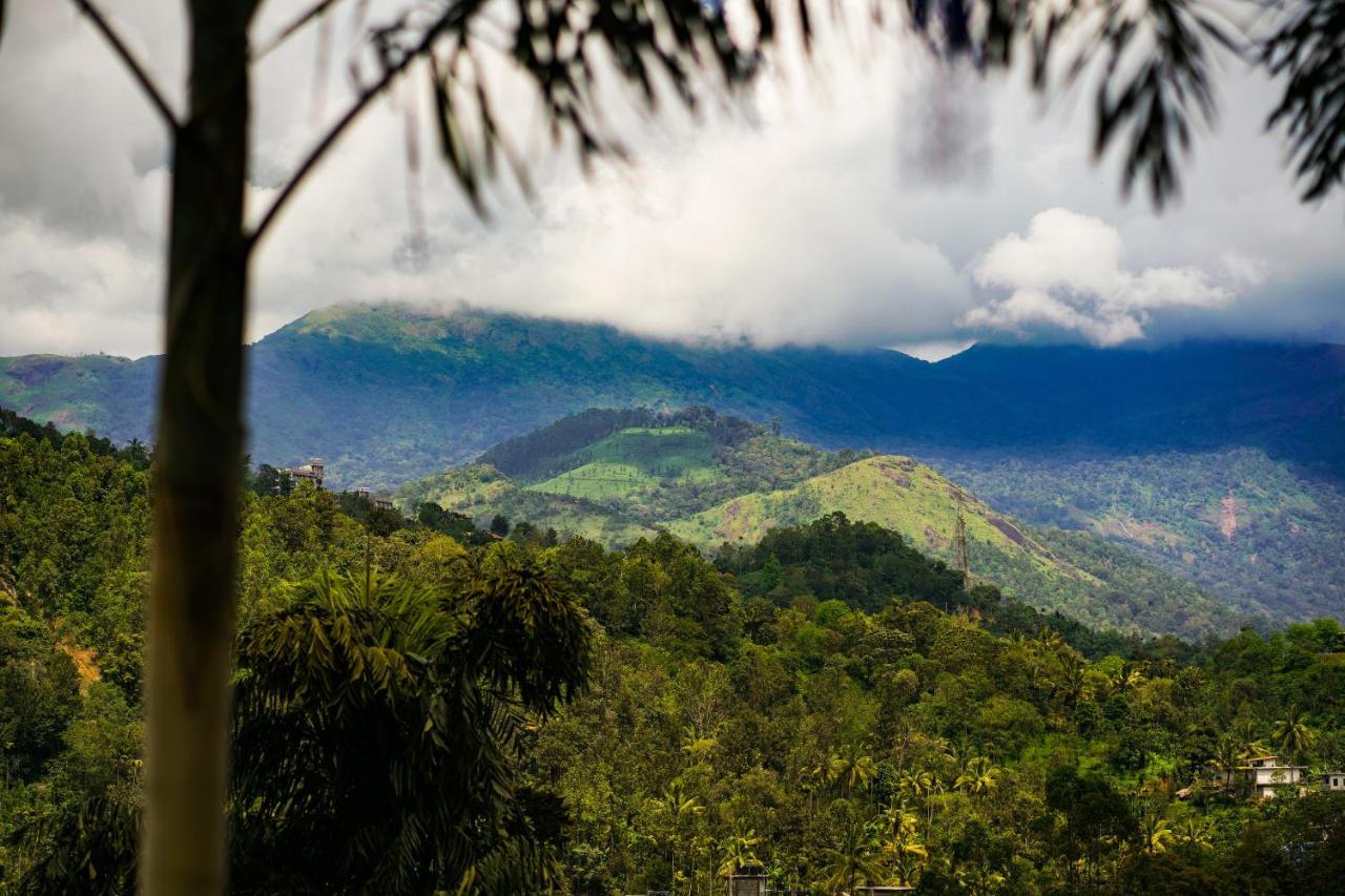 Munnar Blue Mist Bed & Breakfast ภายนอก รูปภาพ